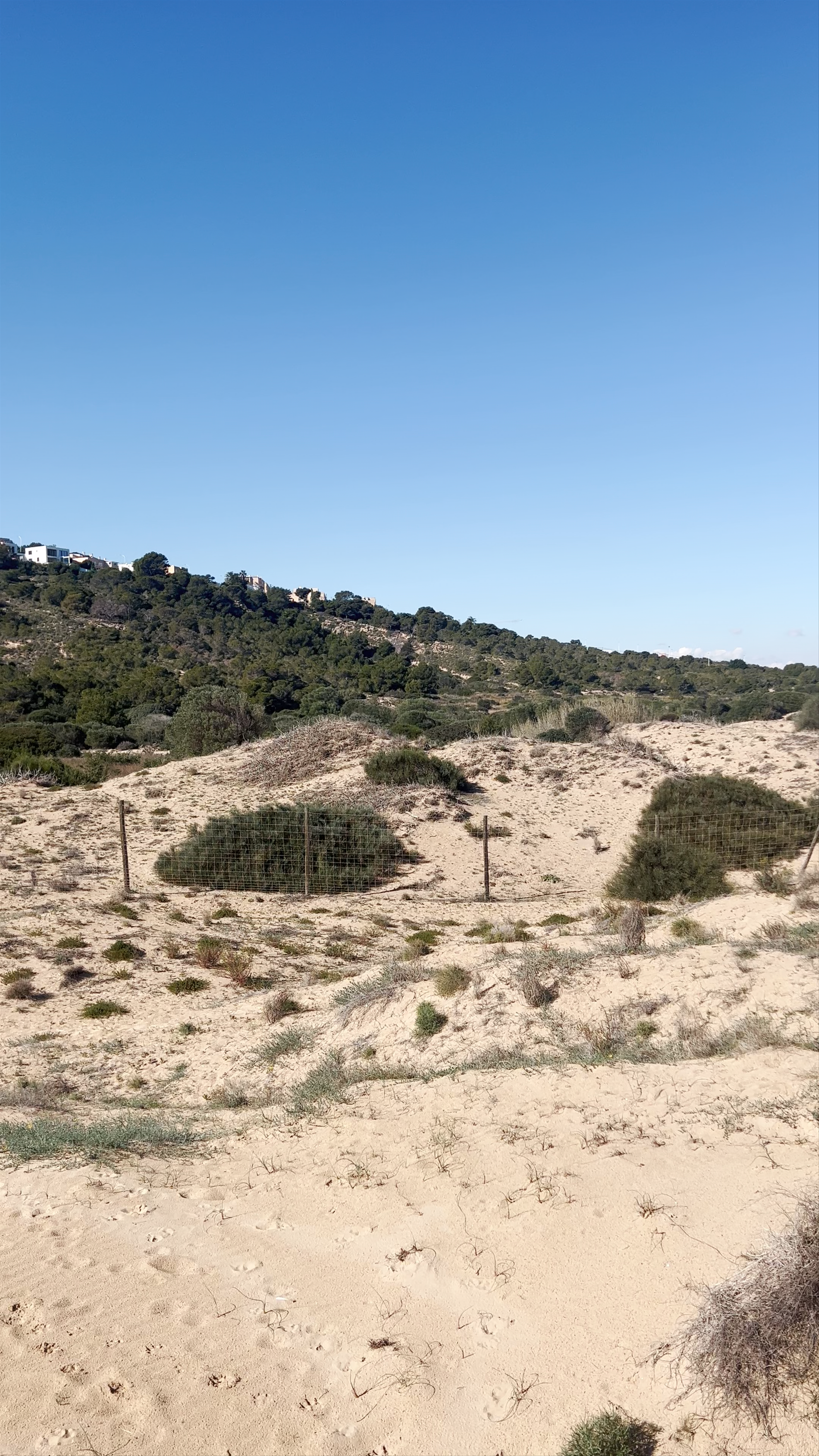Dunas del Carabassí: Serene Coastal Dunes near Gran Alacant, Spain