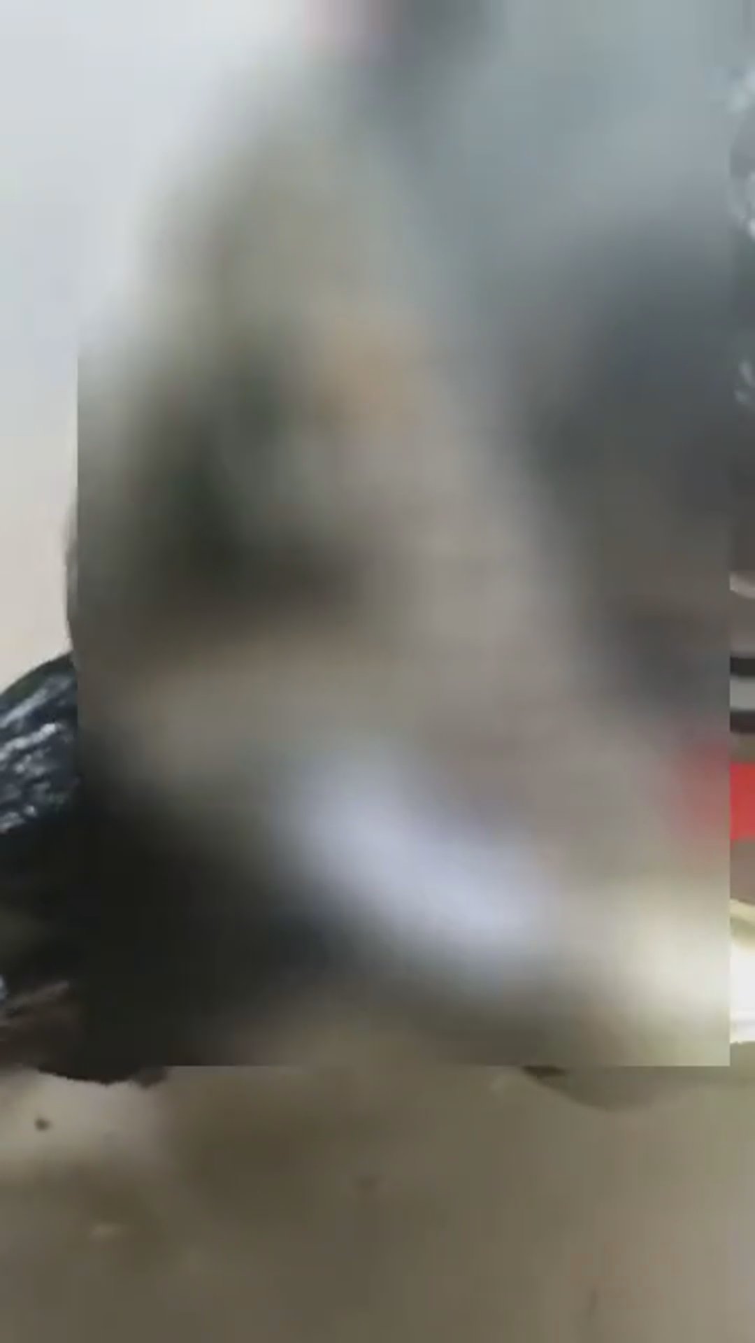 Walk-around video thumbnail