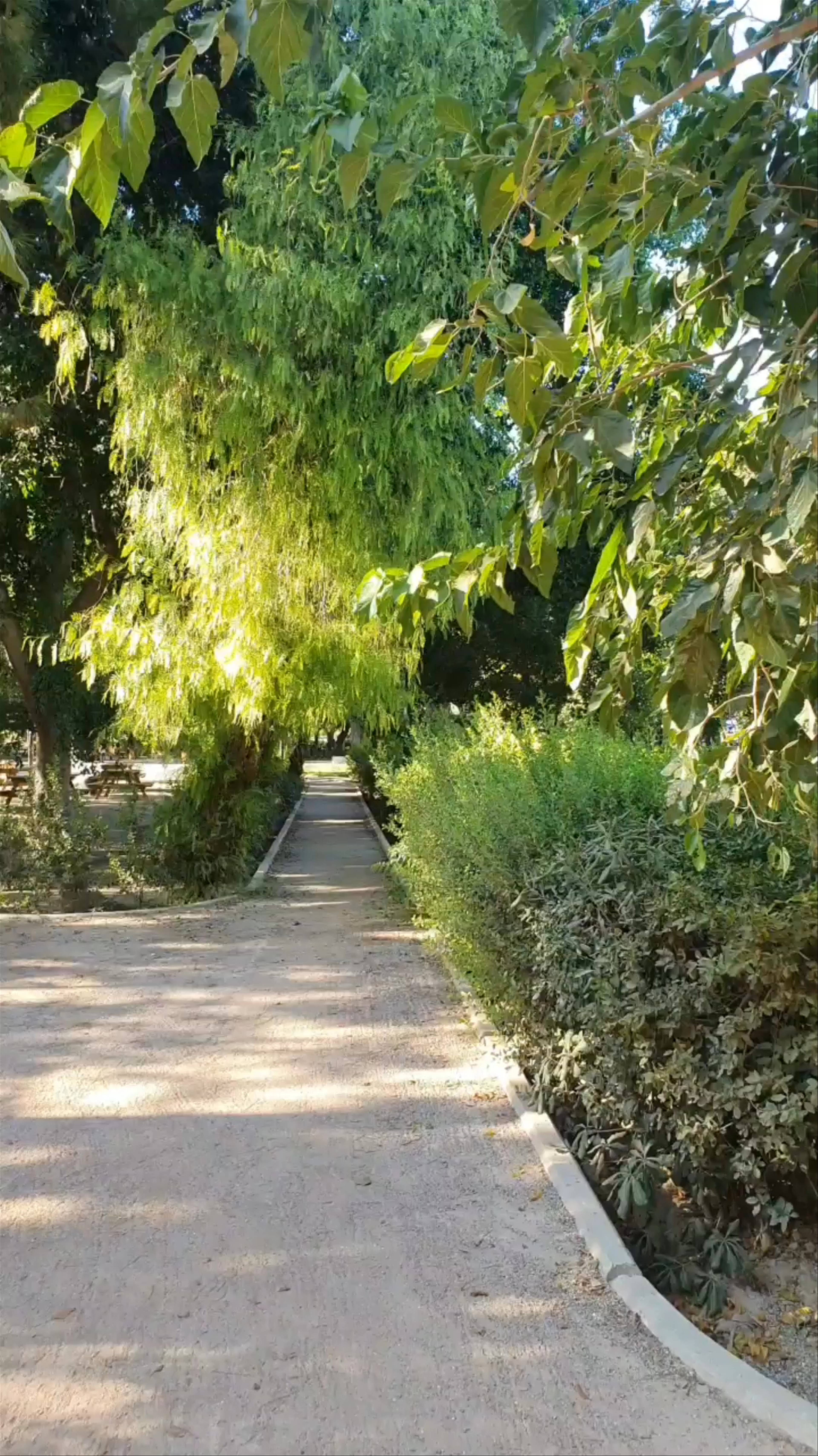 Serene Walk Through Georgiadis Park, Heraklion, Greece