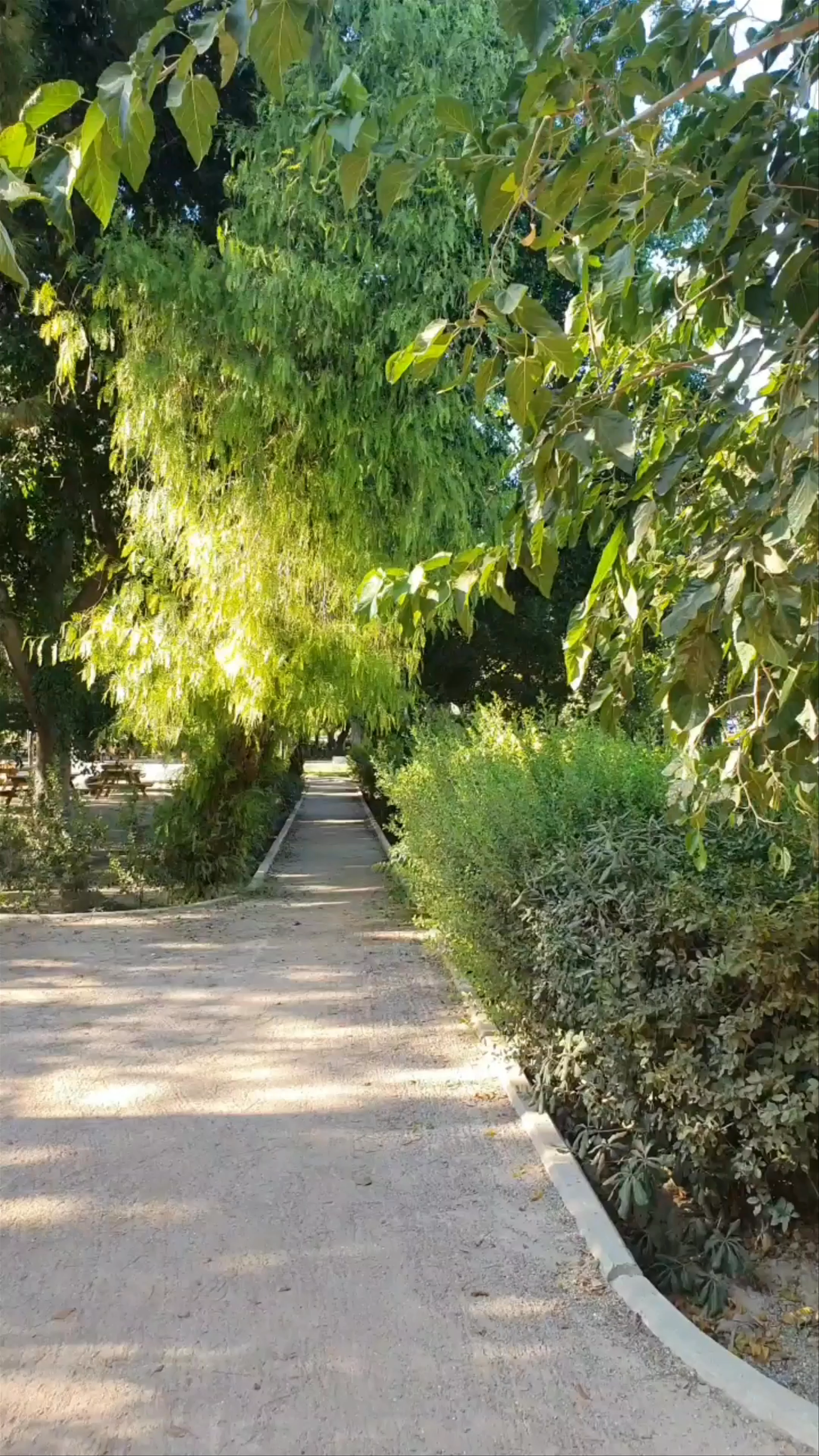 Georgiadis Park