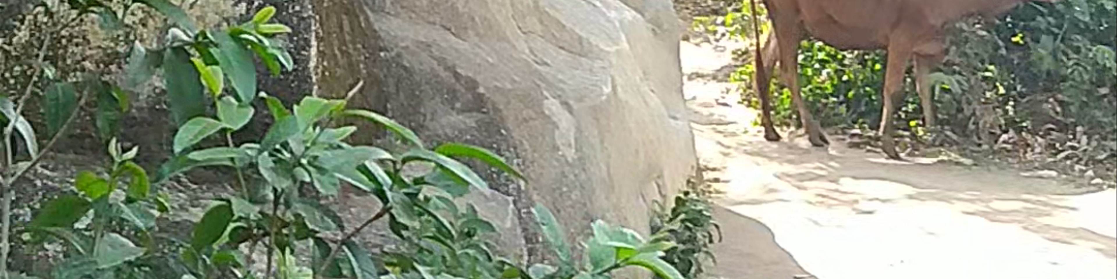 Kakamega