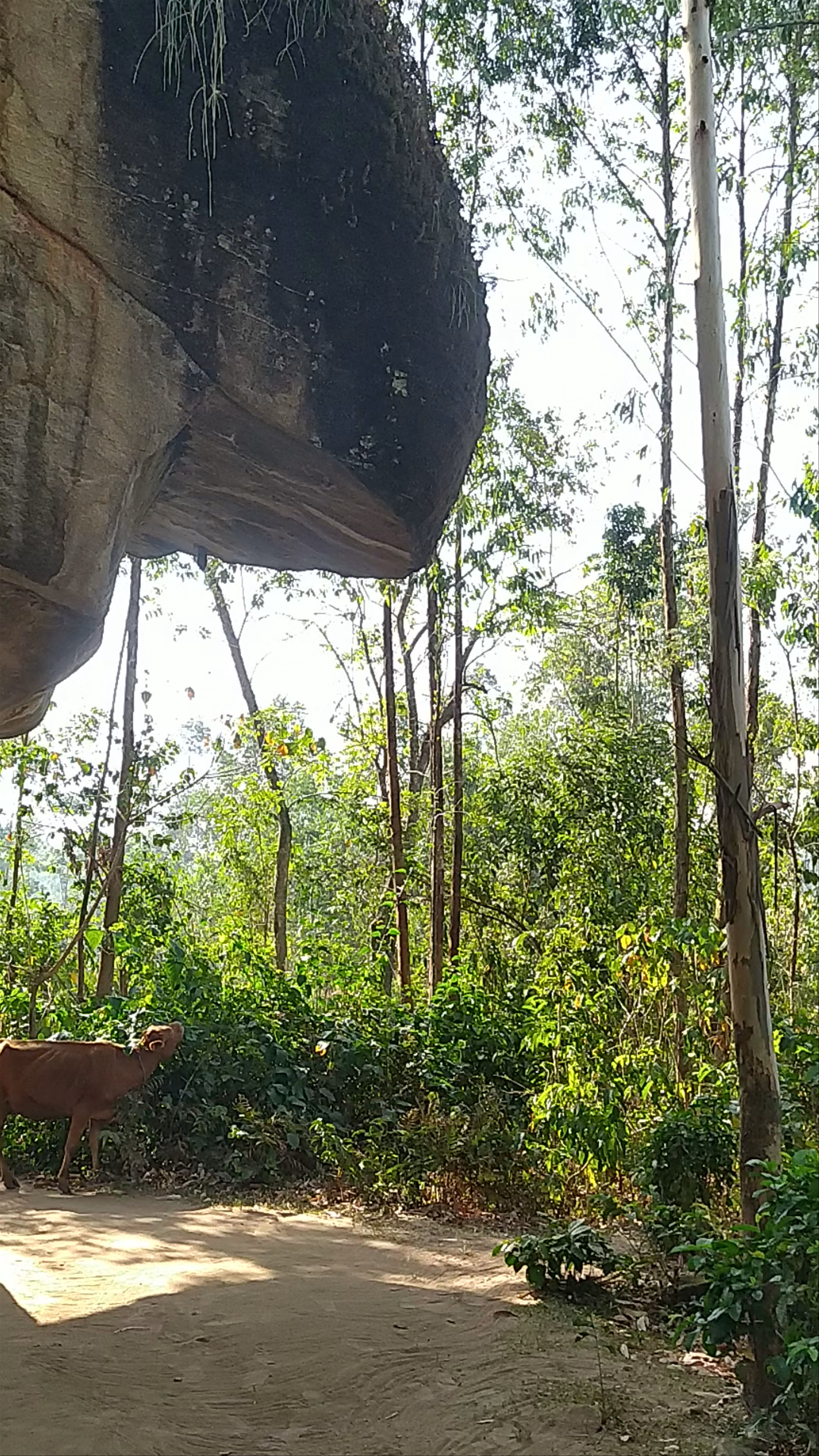 The Crying Stone of Illesi
