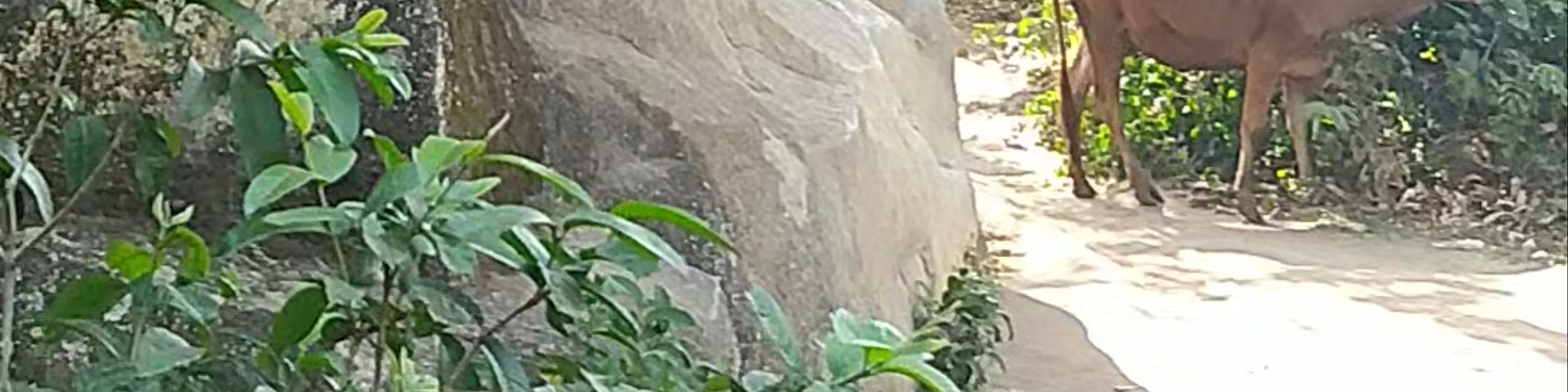The Crying Stone of Illesi