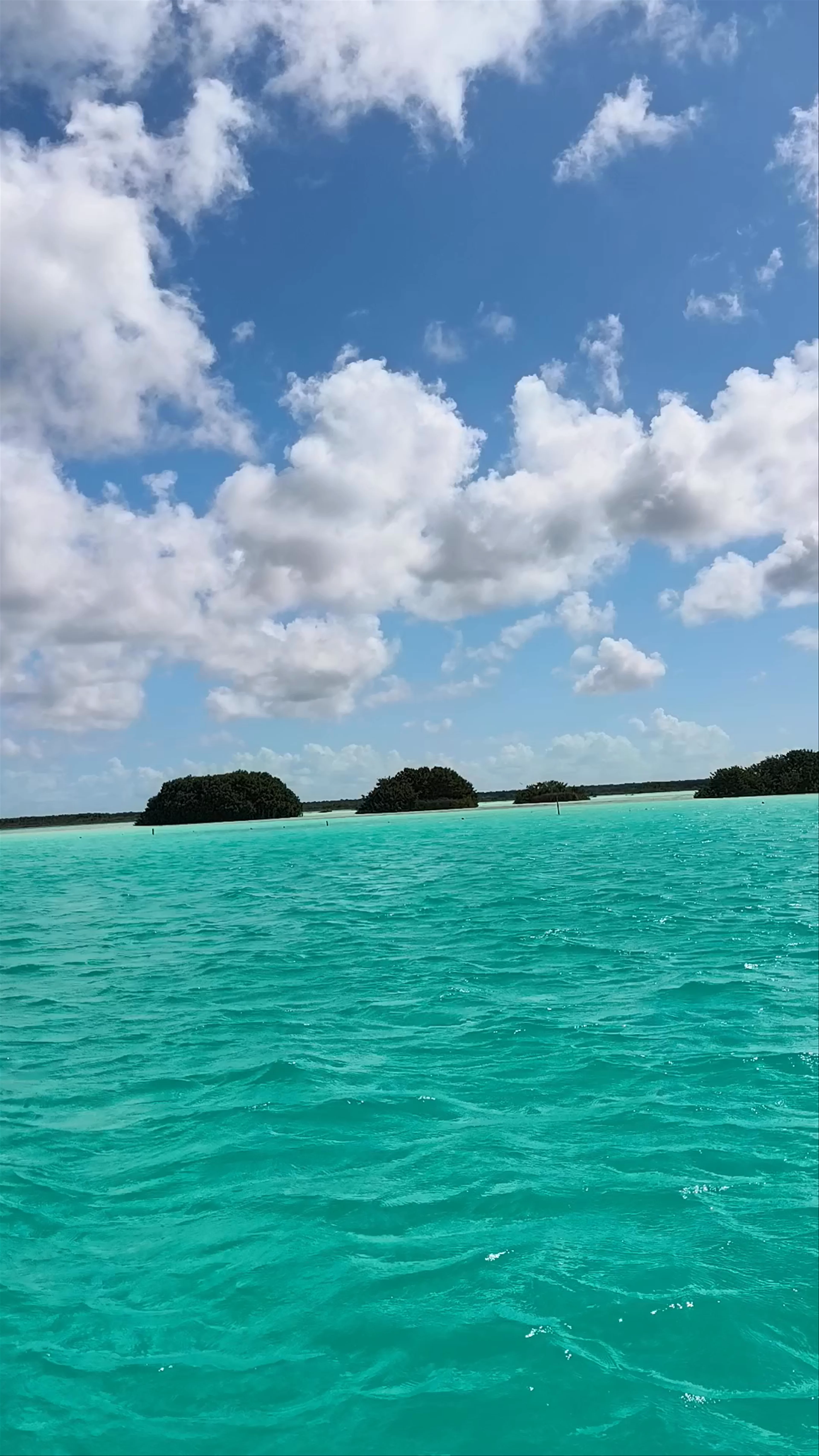 Isla de los Pájaros