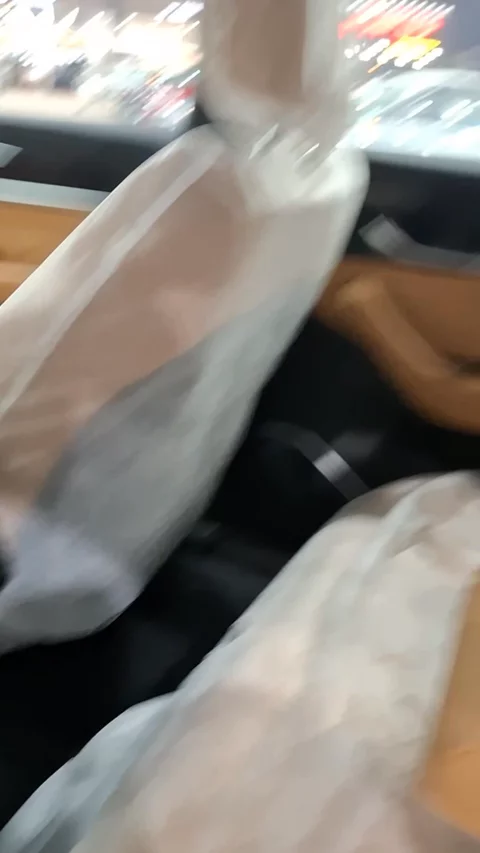 جيلي مونجارو GF Plus 2024