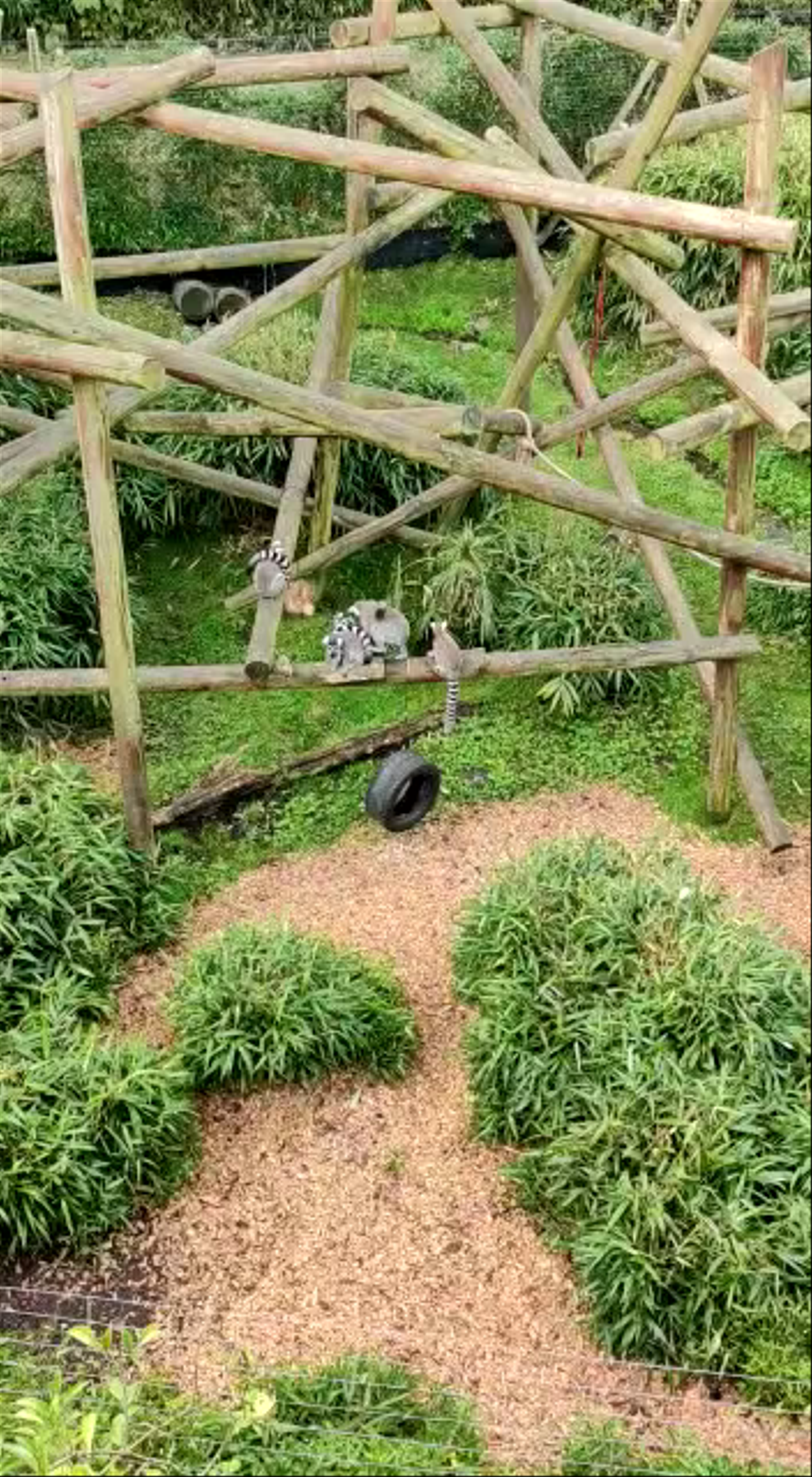 Colchester Zoo