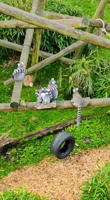 Colchester Zoo