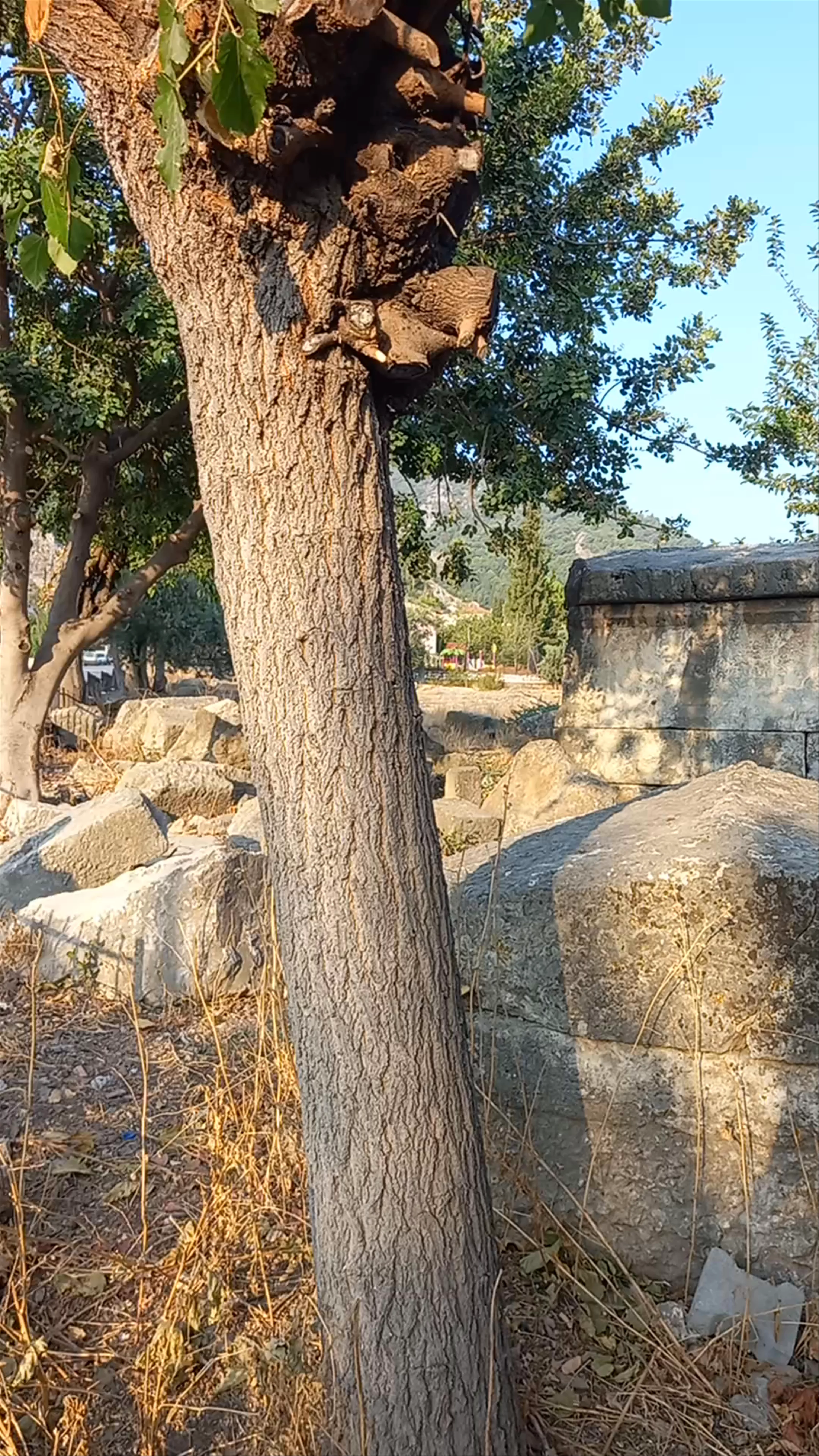 Ancient Tomb, Kesikkapı
