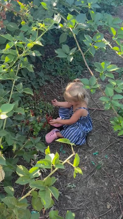 Mortimer Farms - Attraction Farms Near Me - Dewey, Arizona