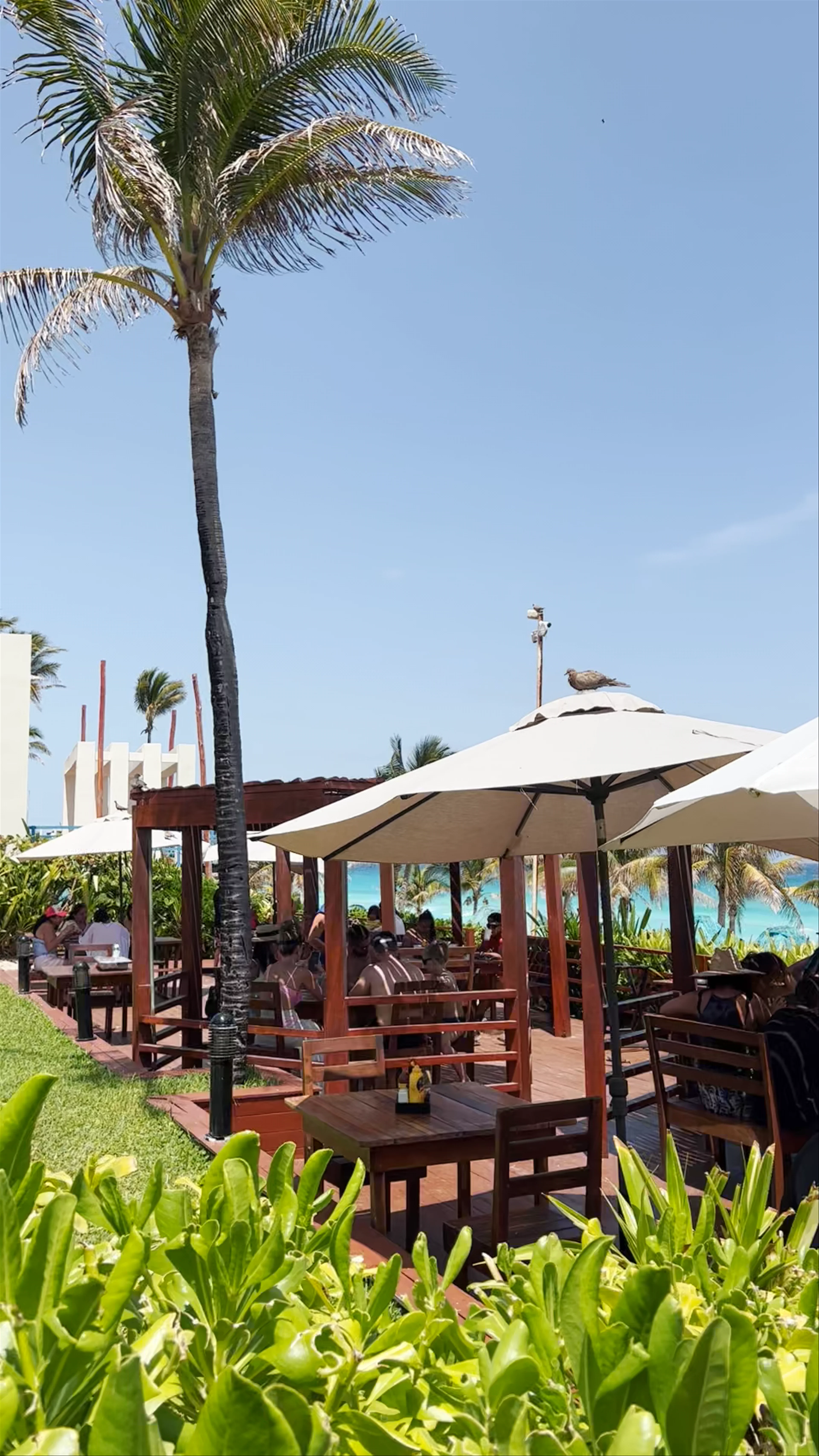 Grand Oasis Cancún
