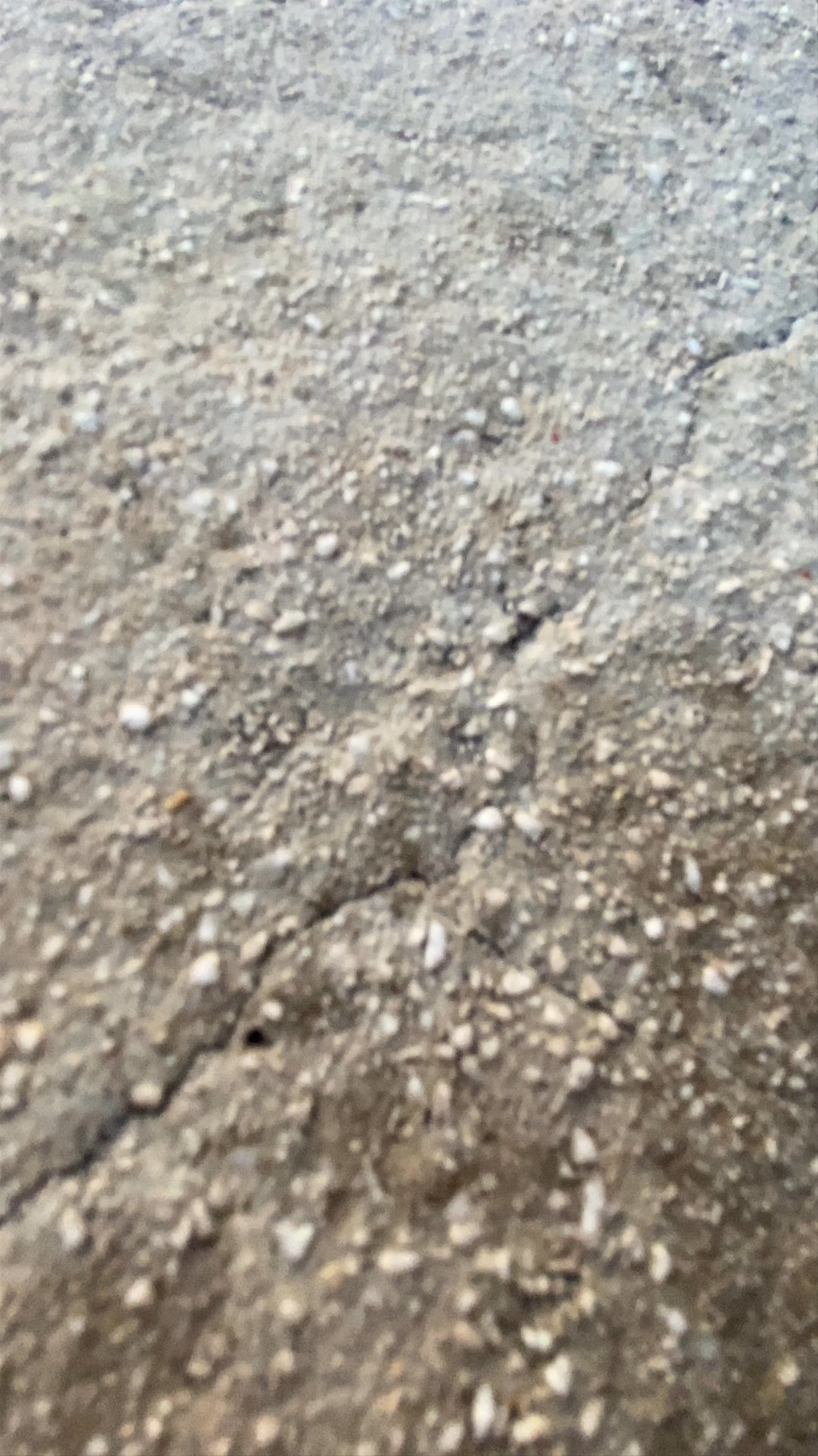 Port of Fontvieille viewpoint