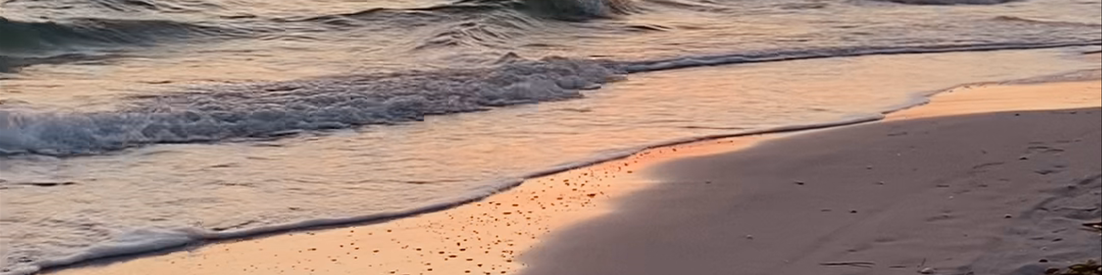 Sarasota