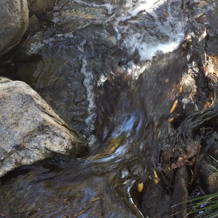 Bernardo Mountain - After the rain, it formed a creek - Hiking Near Me - Escondido, California