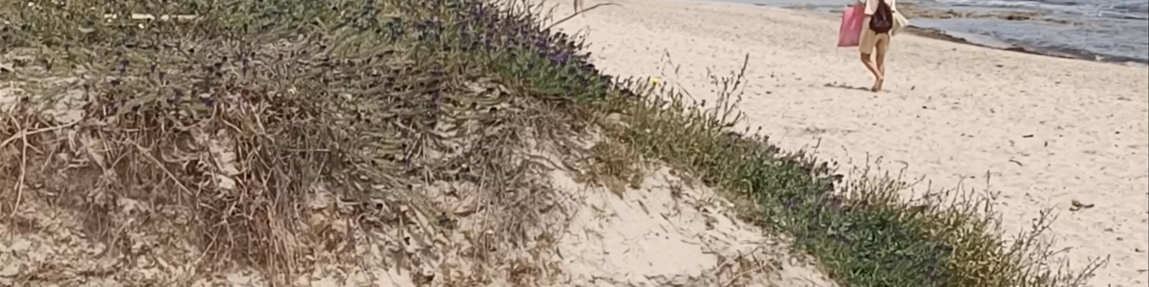 Playa del Mojón