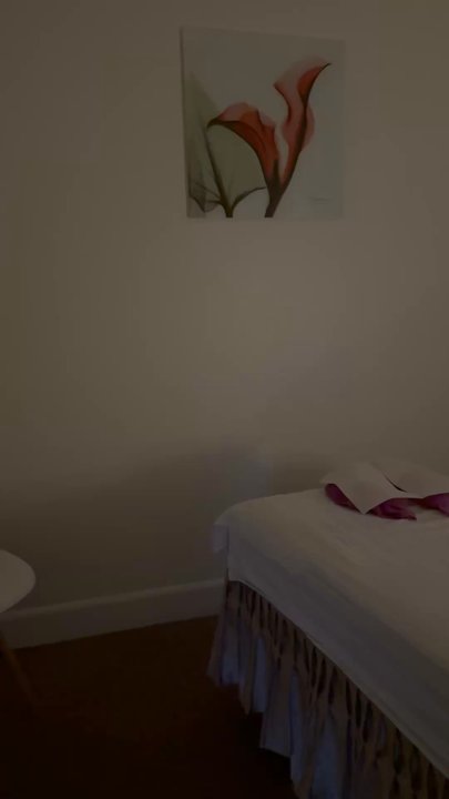 Lan Lan Spa - Massage room/table - Massage Therapy Near Me - Pflugerville, Texas
