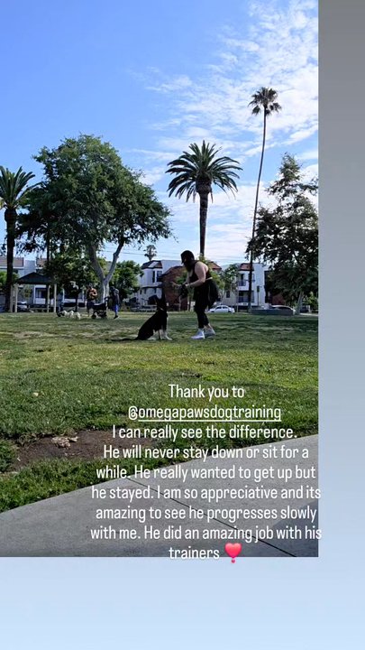 Omega Paws - Thank you guys so much Duke really appreciate your Team. Its not just the trainers job but also out jobs to continue - Pet Training Near Me