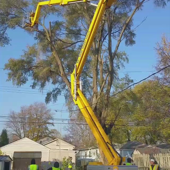 Trees & Company - Tree Services Near Me - Pontiac, Michigan