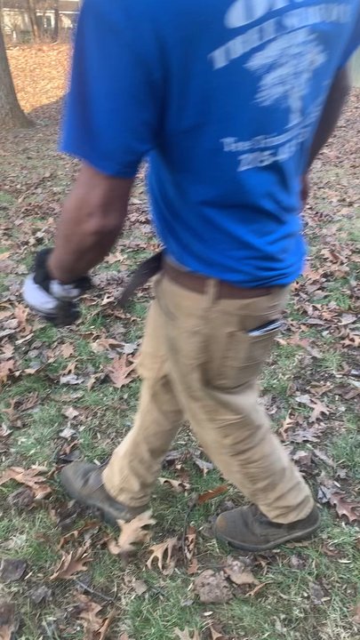 Ortiz Tree Service - Tree Services Near Me