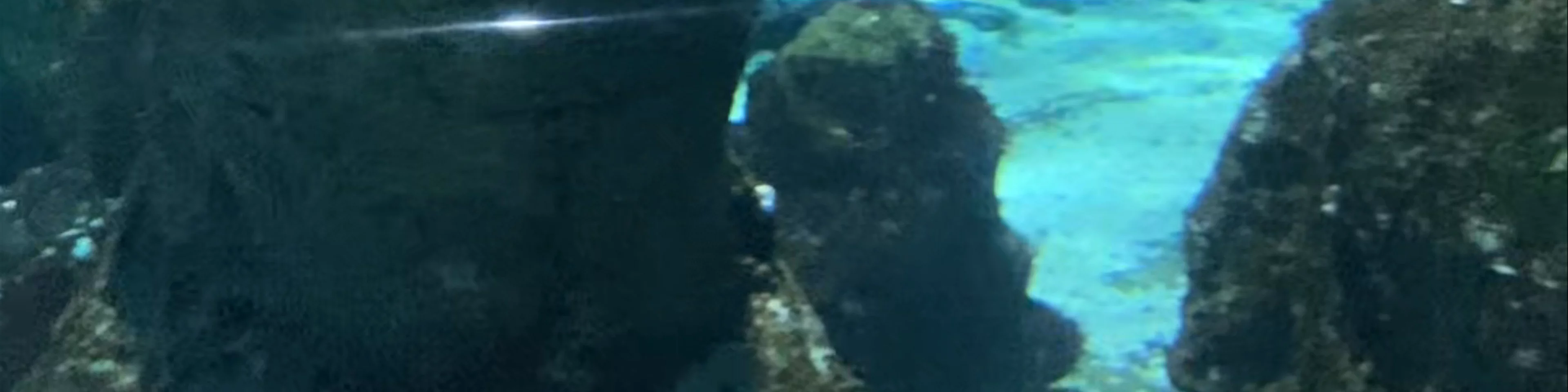 Aquàrium Barcelona