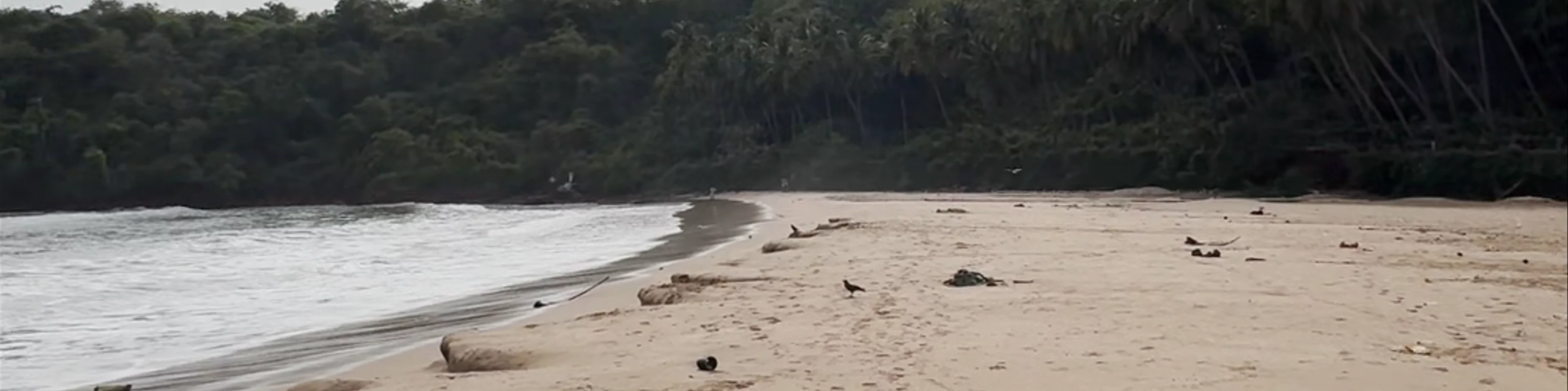 Bogmalo Beach
