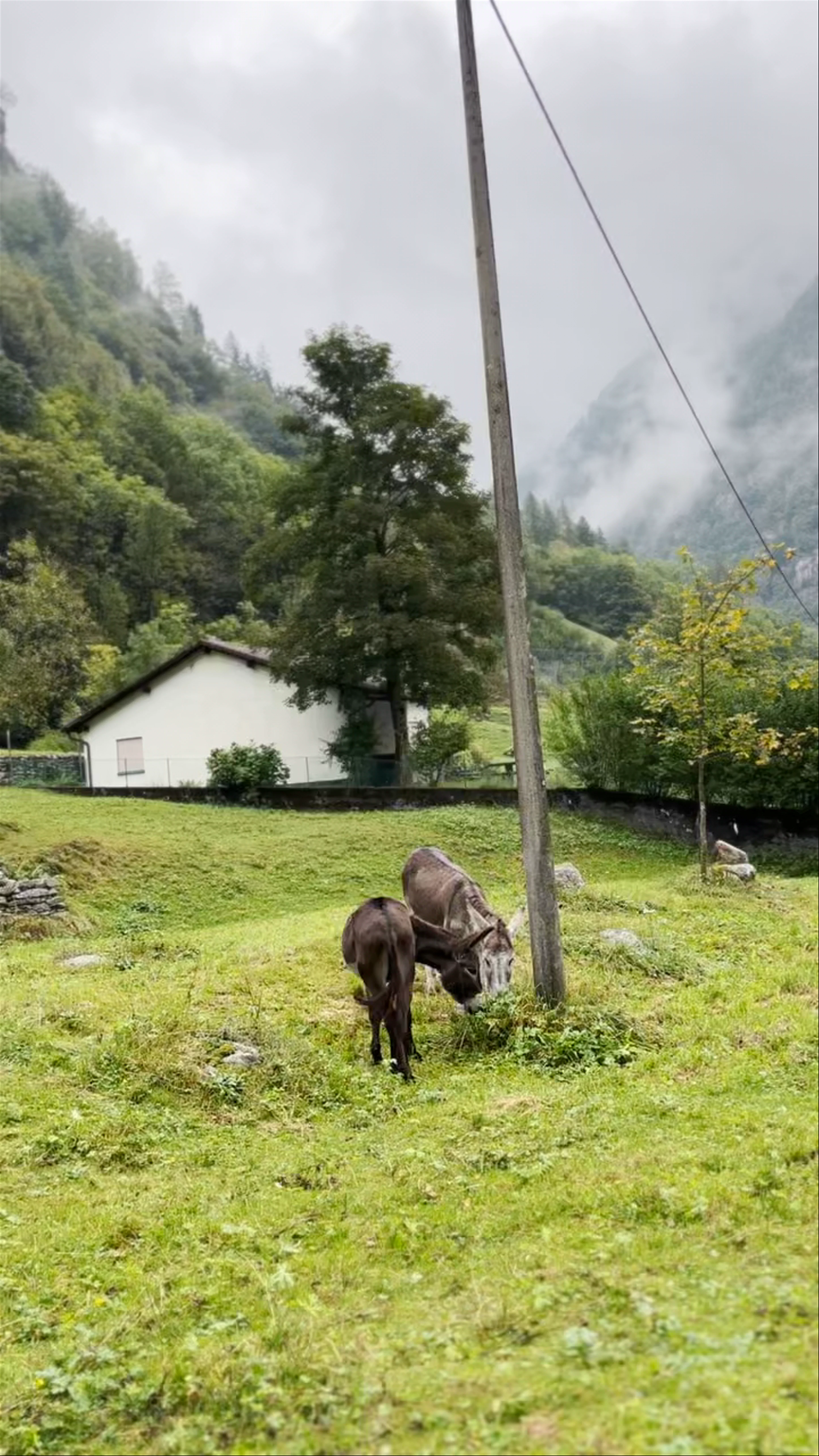 Cascata La Froda, Strada de Redòrta, Verzasca