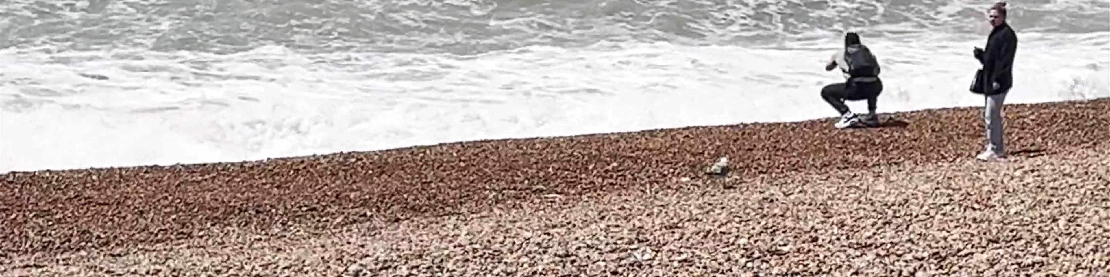 Brighton seafront