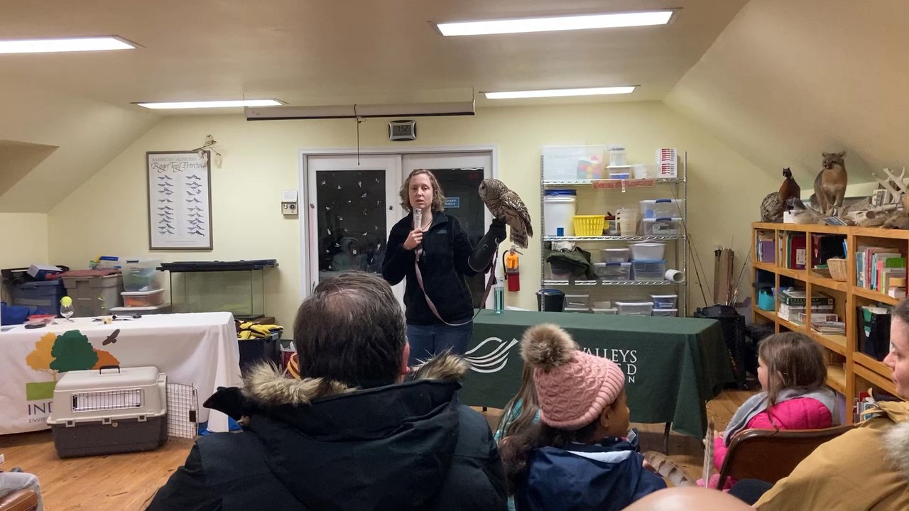 Welkinweir - Welkinweir -- Owl Prowl program with Indian Run Environmental Education Center - Parks Near Me - Pottstown, Pennsylvania
