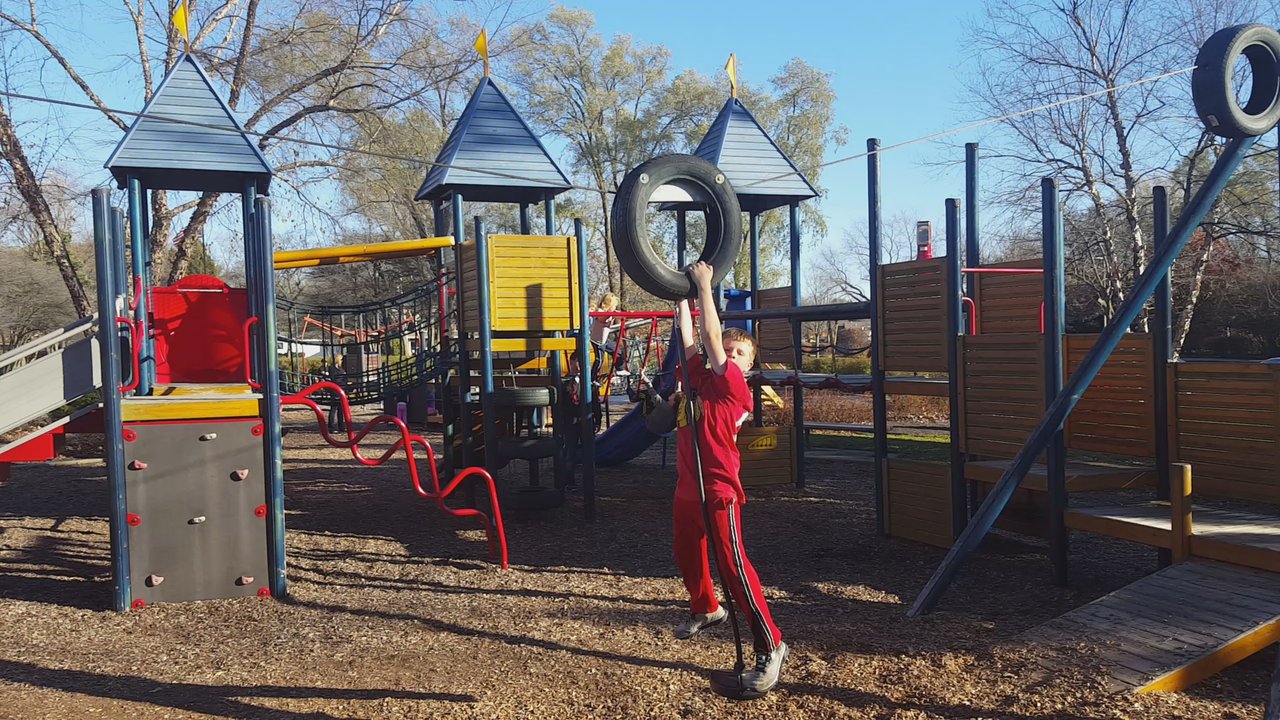Jaycee Dog Park - Tire Zipline - Dog Parks Near Me - Deerfield, Illinois