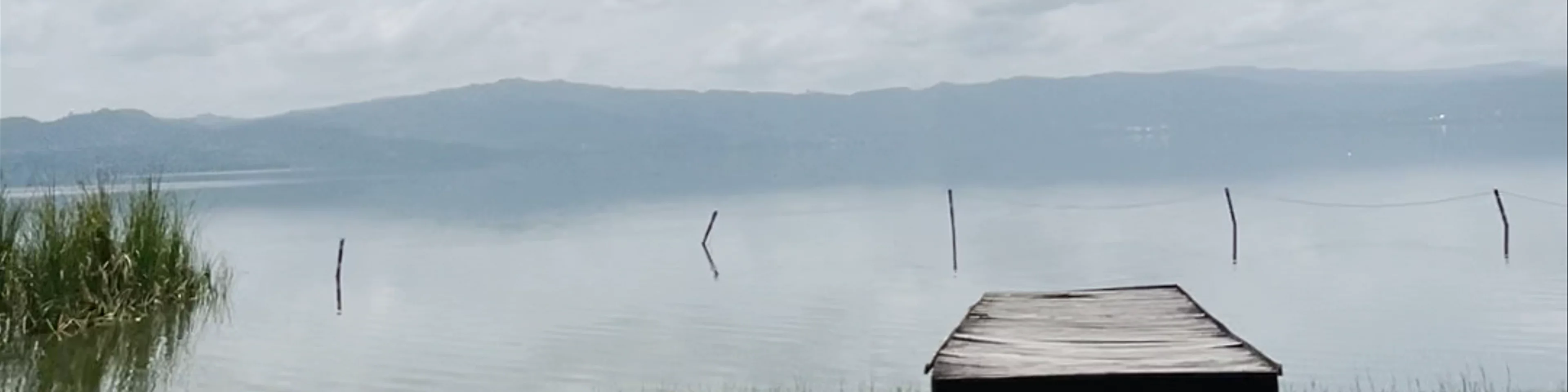 Wildwin Resort