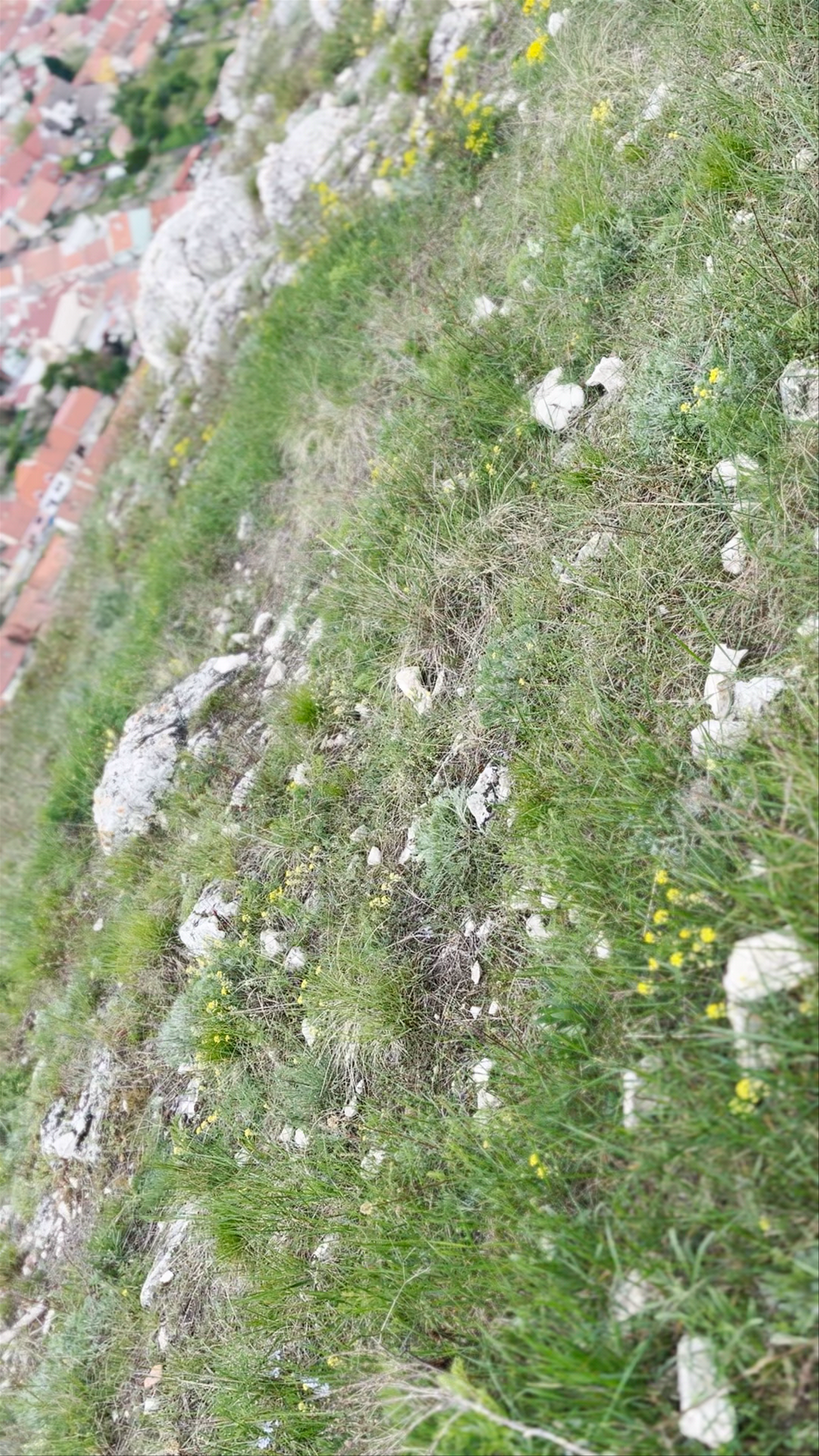 Křížová cesta v Mikulově