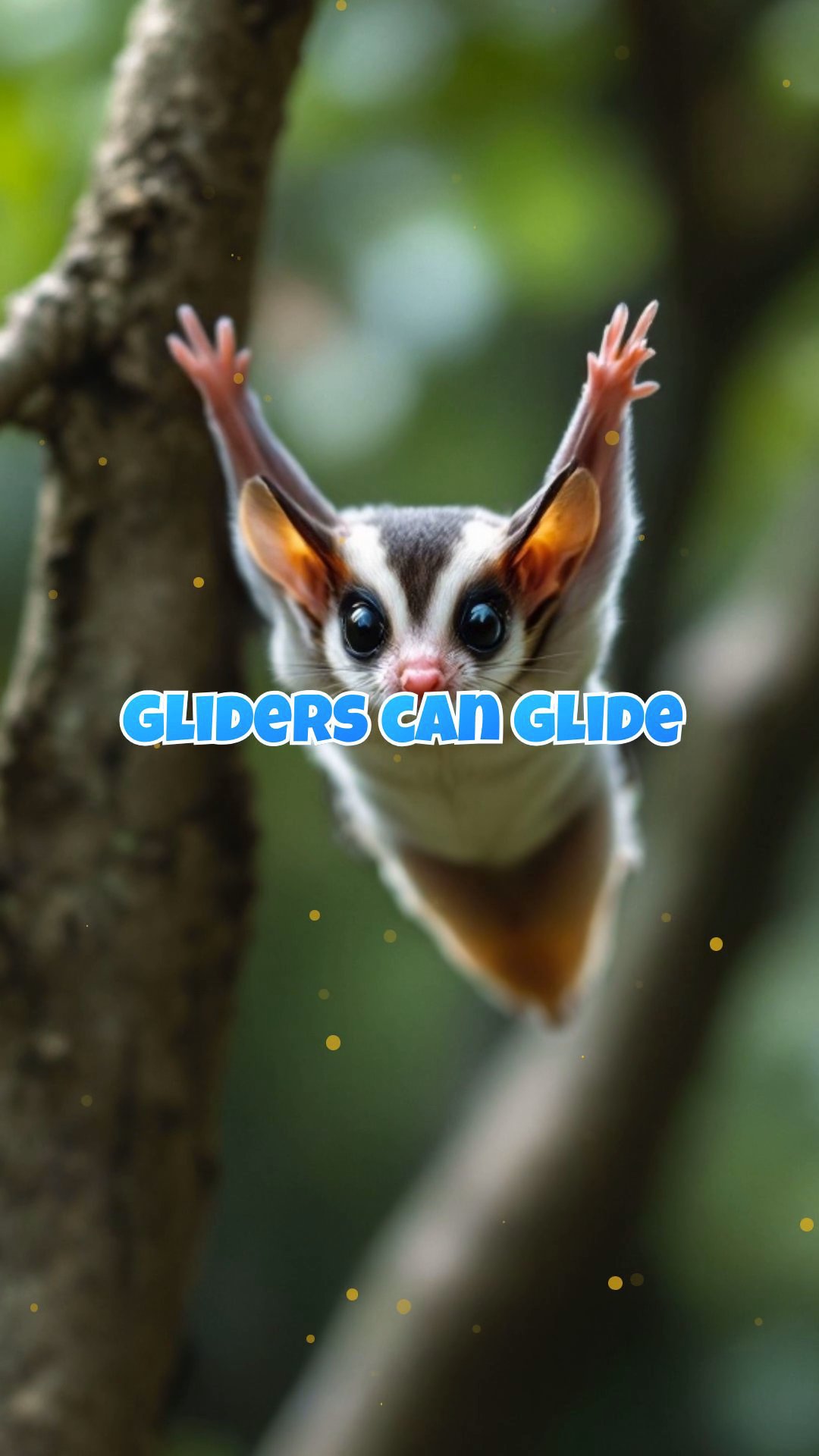 Amazing Sugar Glider Facts