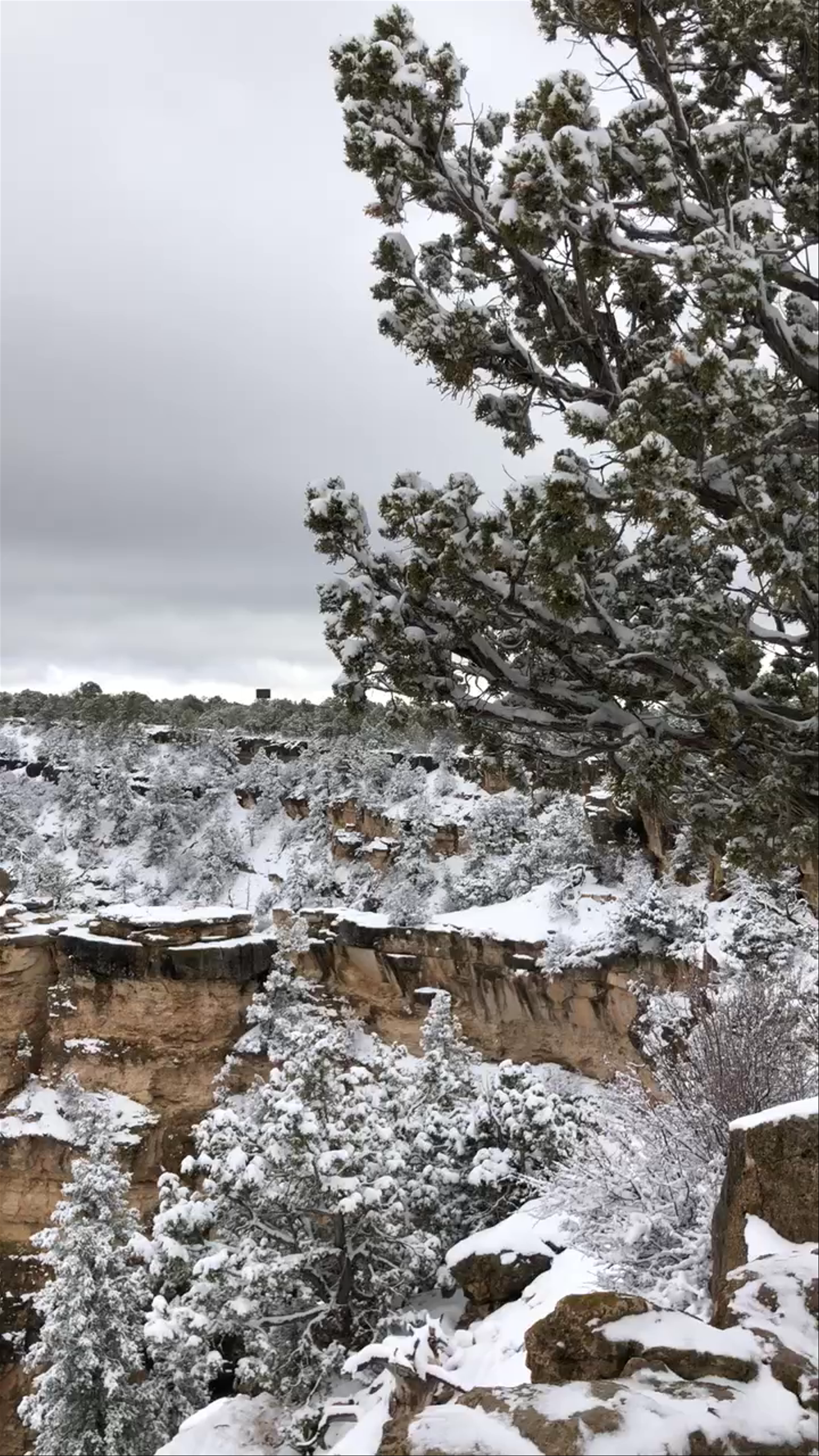 Grand Canyon National Park