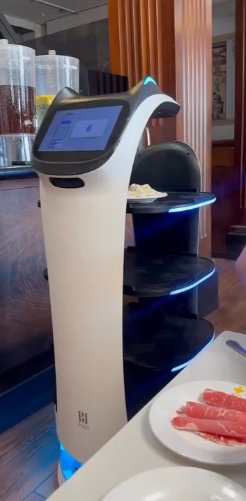Ben Ben Restaurant - This cute kitty robot that delivered our ingredients brought a smile to my daughter's face. - Chinese Near Me - Berkeley, California