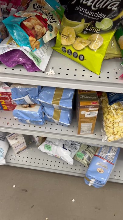 Burlington - A video trying to capture the full scope. The bottom shelf was filled with mouse poop and urine. The smell is so strong. - Women's Clothing Near Me - Washington, DC, District of Columbia