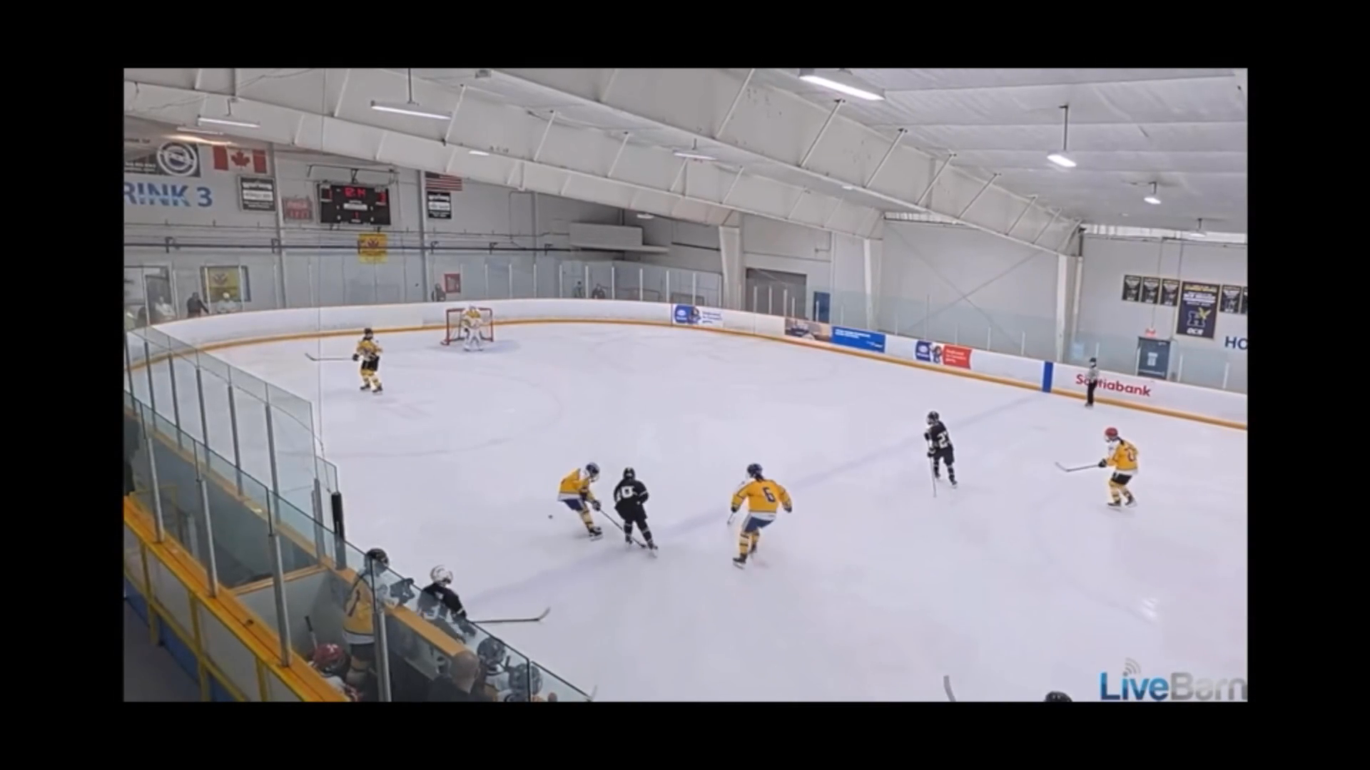 Tess Lazaruk's First In-Game Michigan Goal | CGEA Panthers 2011 Team