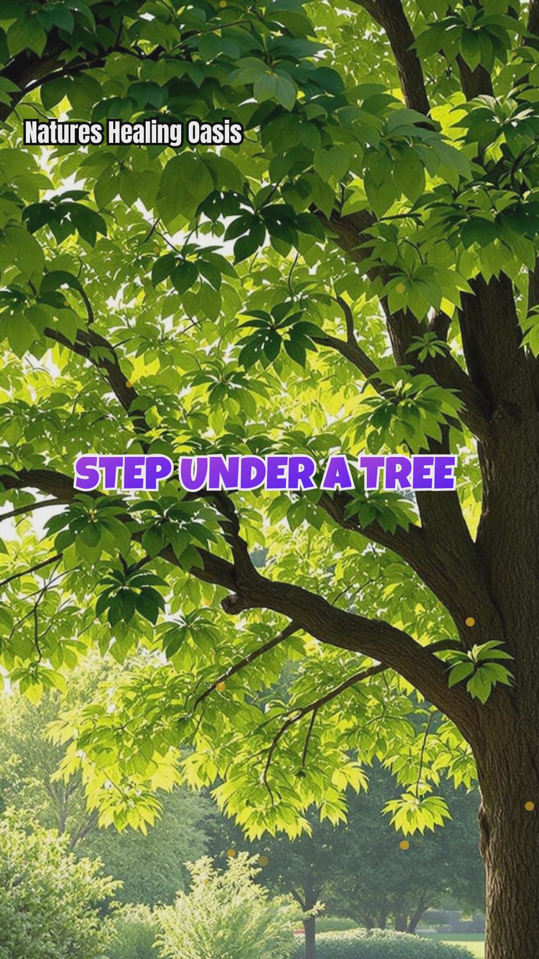 How Tree Canopies Shape Microclimates & Your Mind