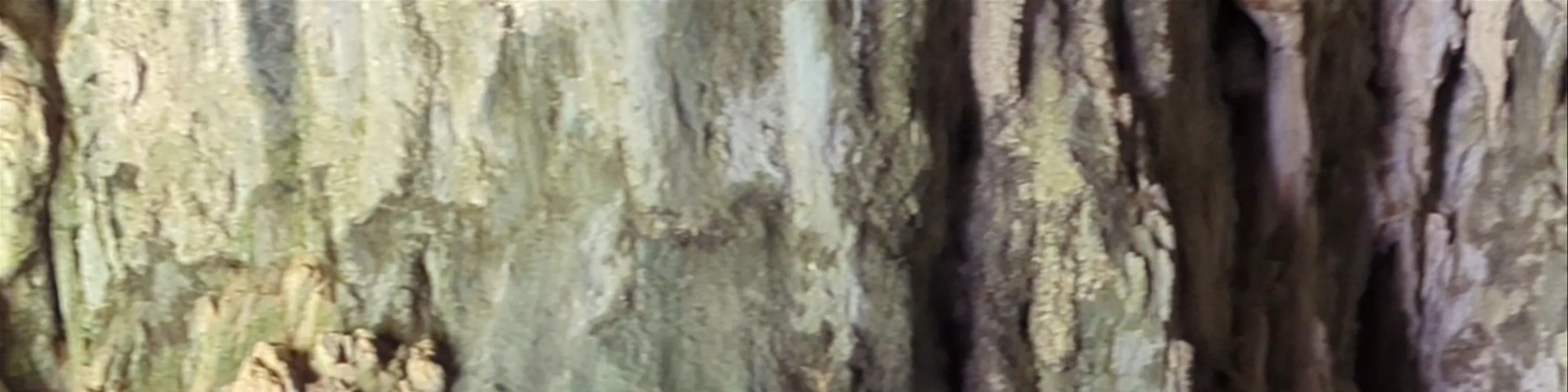 Skocjan Caves