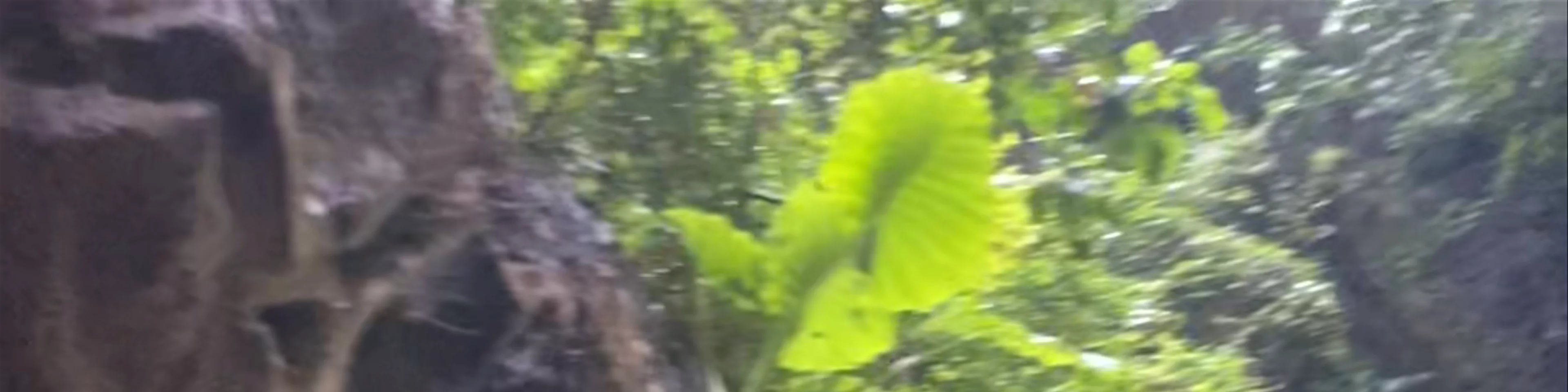 Koh Muk