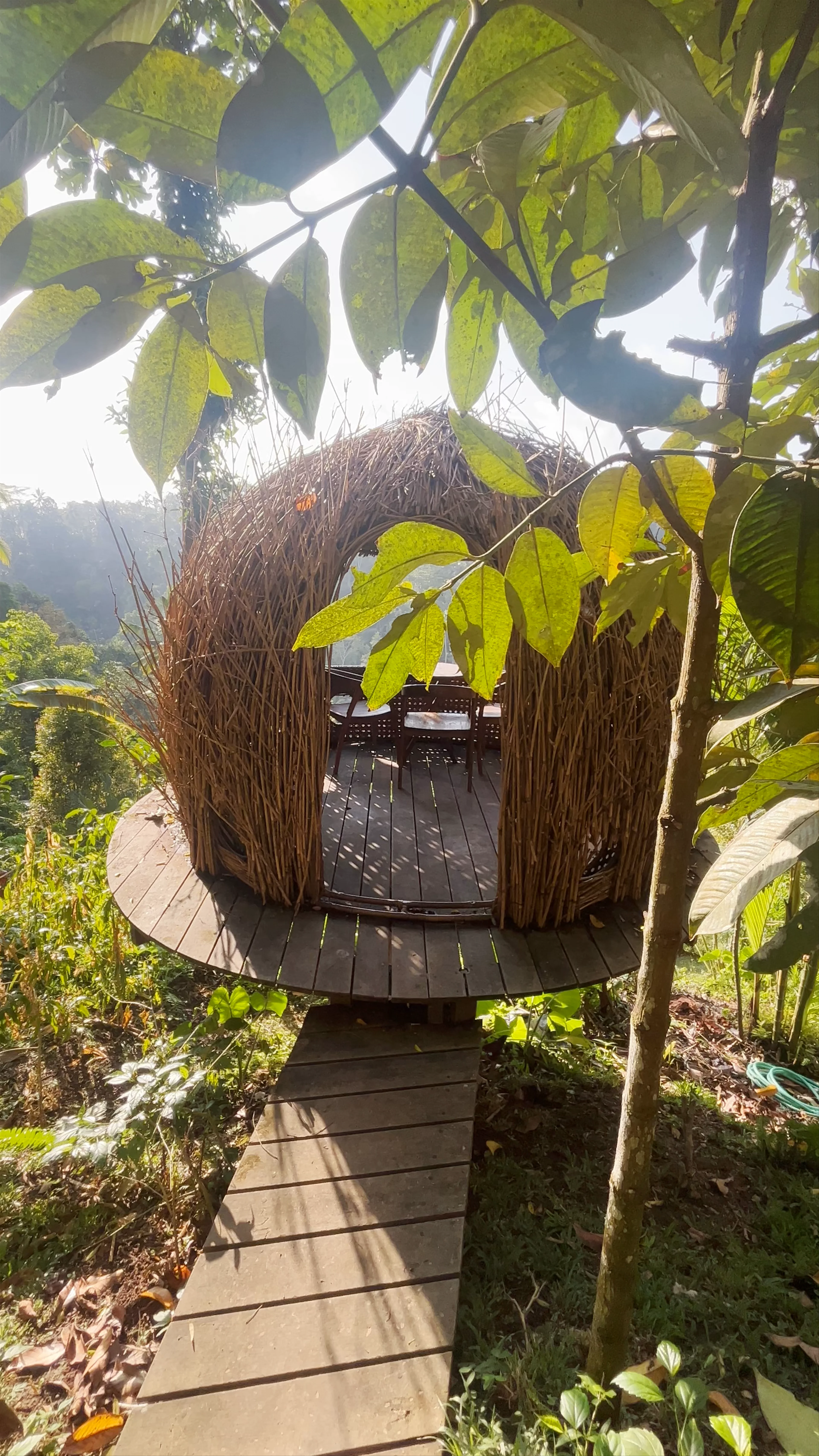Coffee - el mas caro del mundo, Jalan Raya Pujung Kaja, Sebatu, Gianyar Regency, Bali, Indonesia