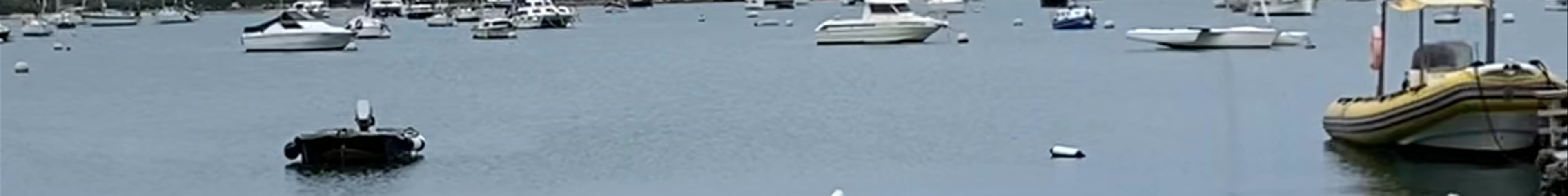 Tours & experiences in Portocolom