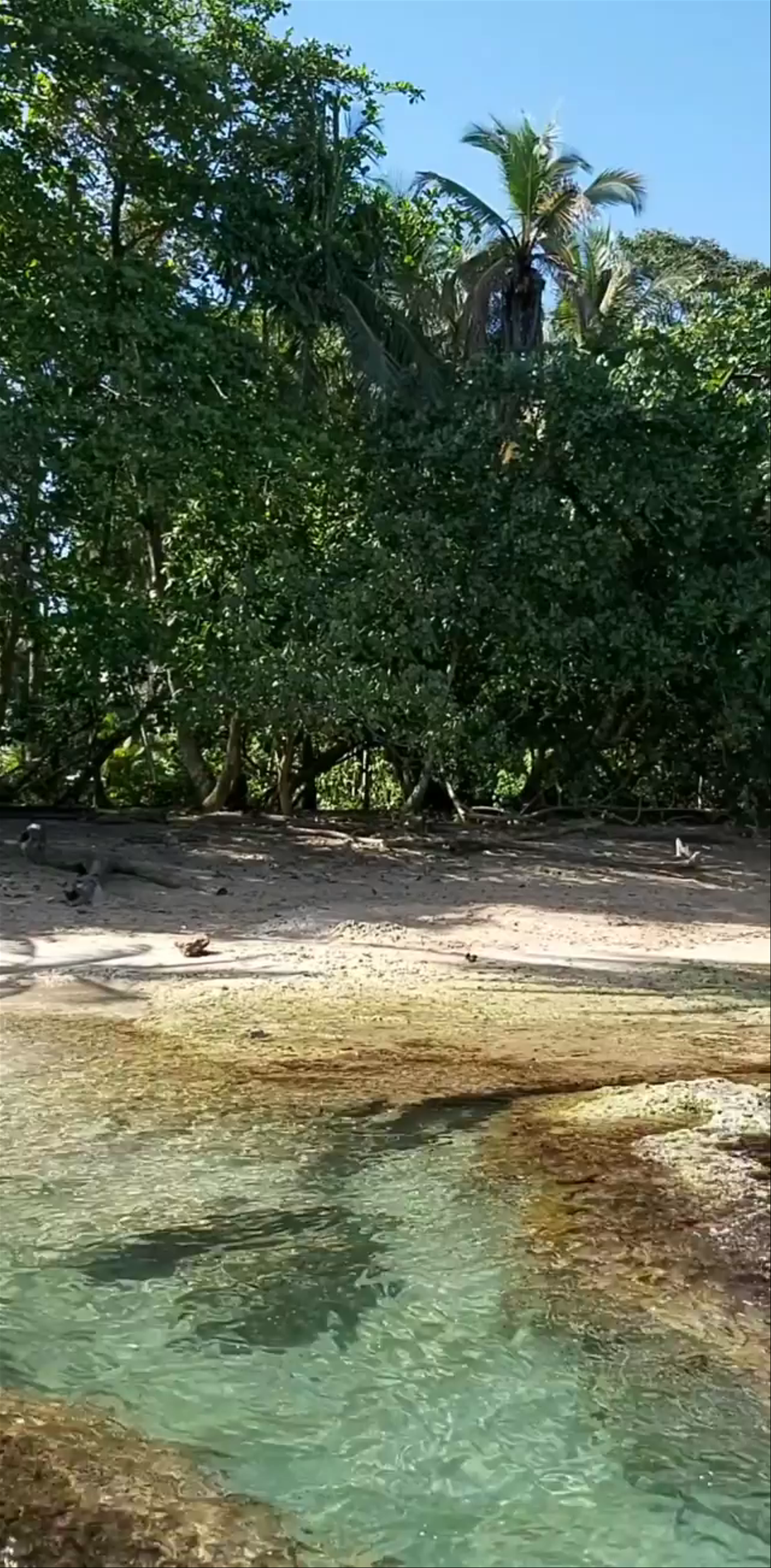 Playa Puerto Viejo