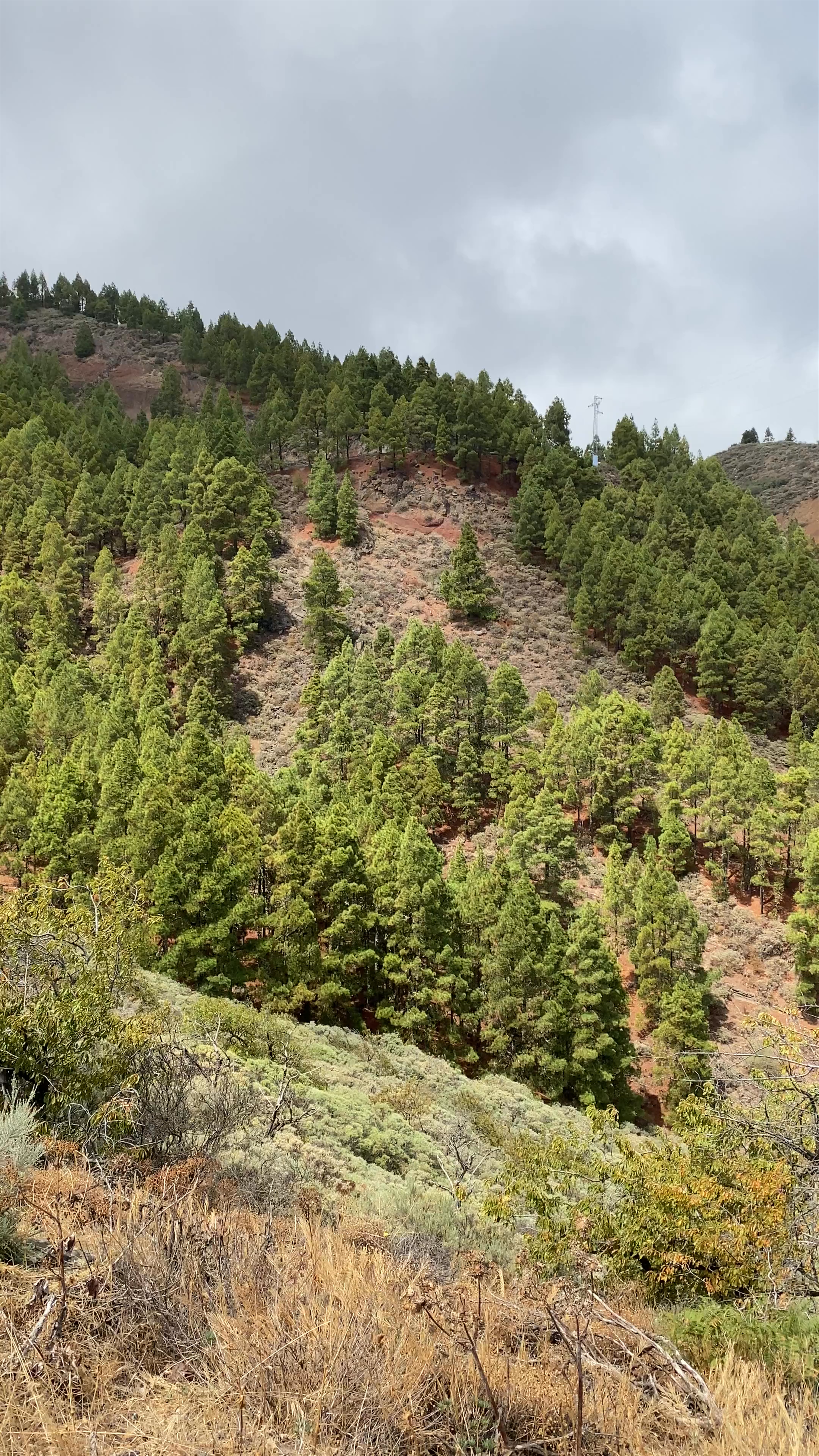 Caldera Los Marteles Viewpoint