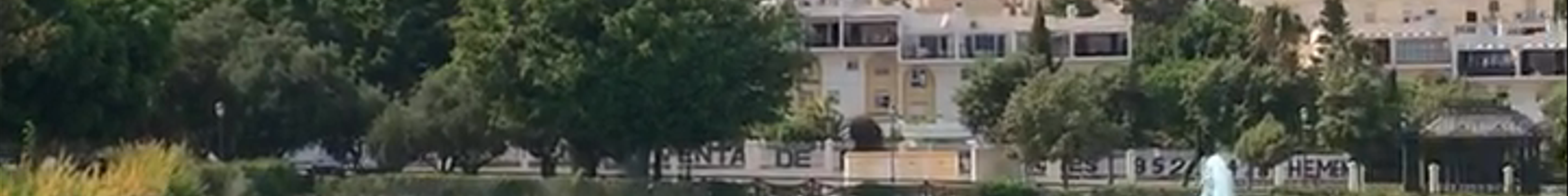 Tours & experiences in Torremolinos