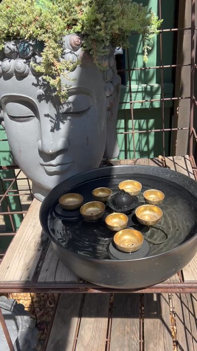 Berridge Nurseries - Nurseries & Gardening Near Me - Phoenix, Arizona