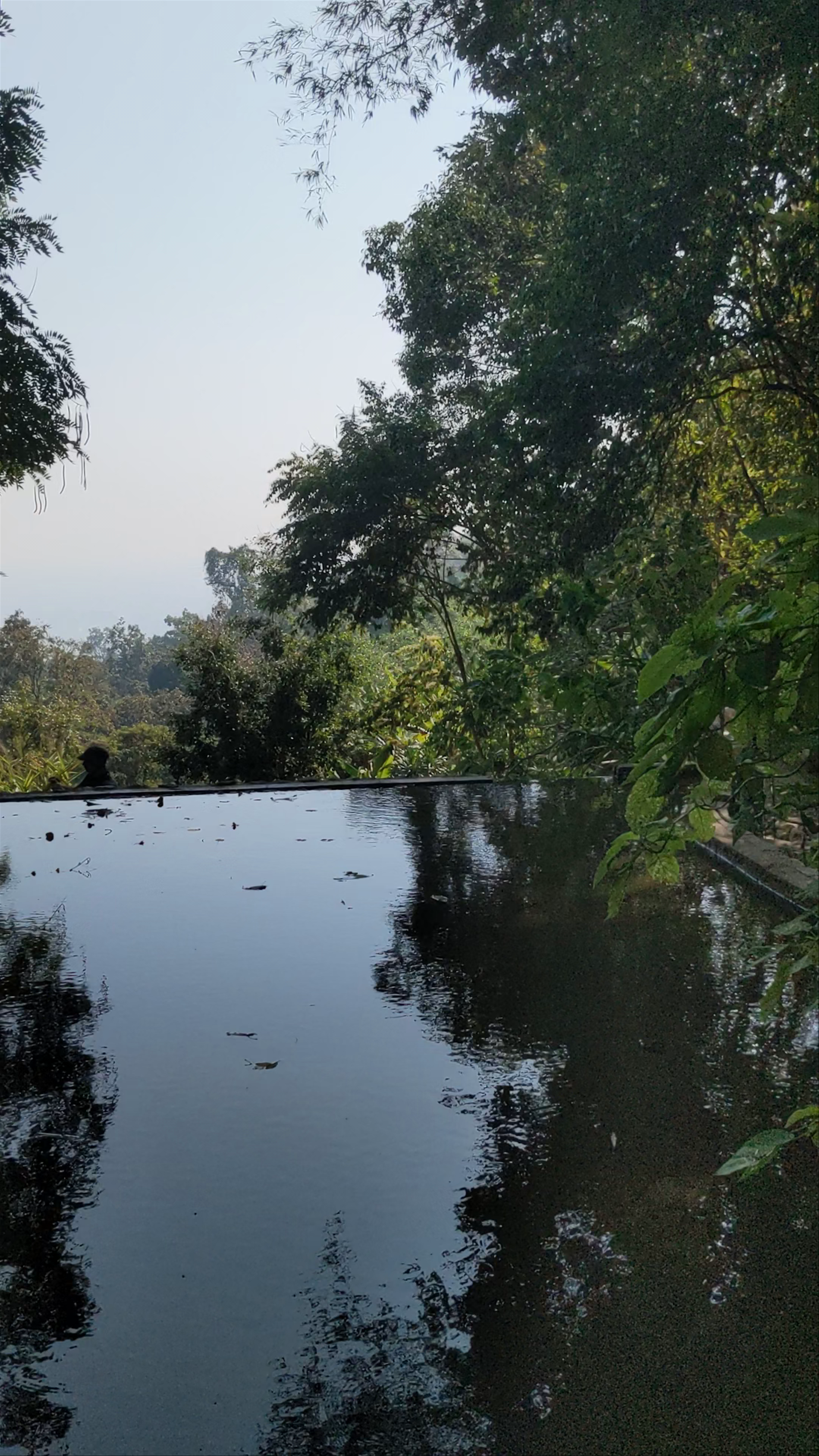 Tranquil Nature Escape at Wat Pha Lat, Chiang Mai