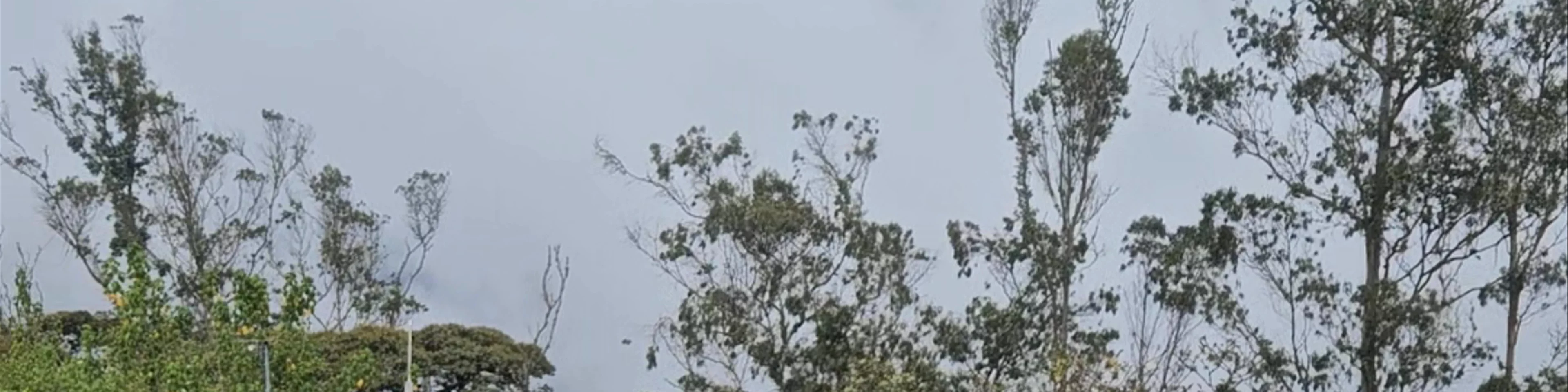 La Casa del Arbol