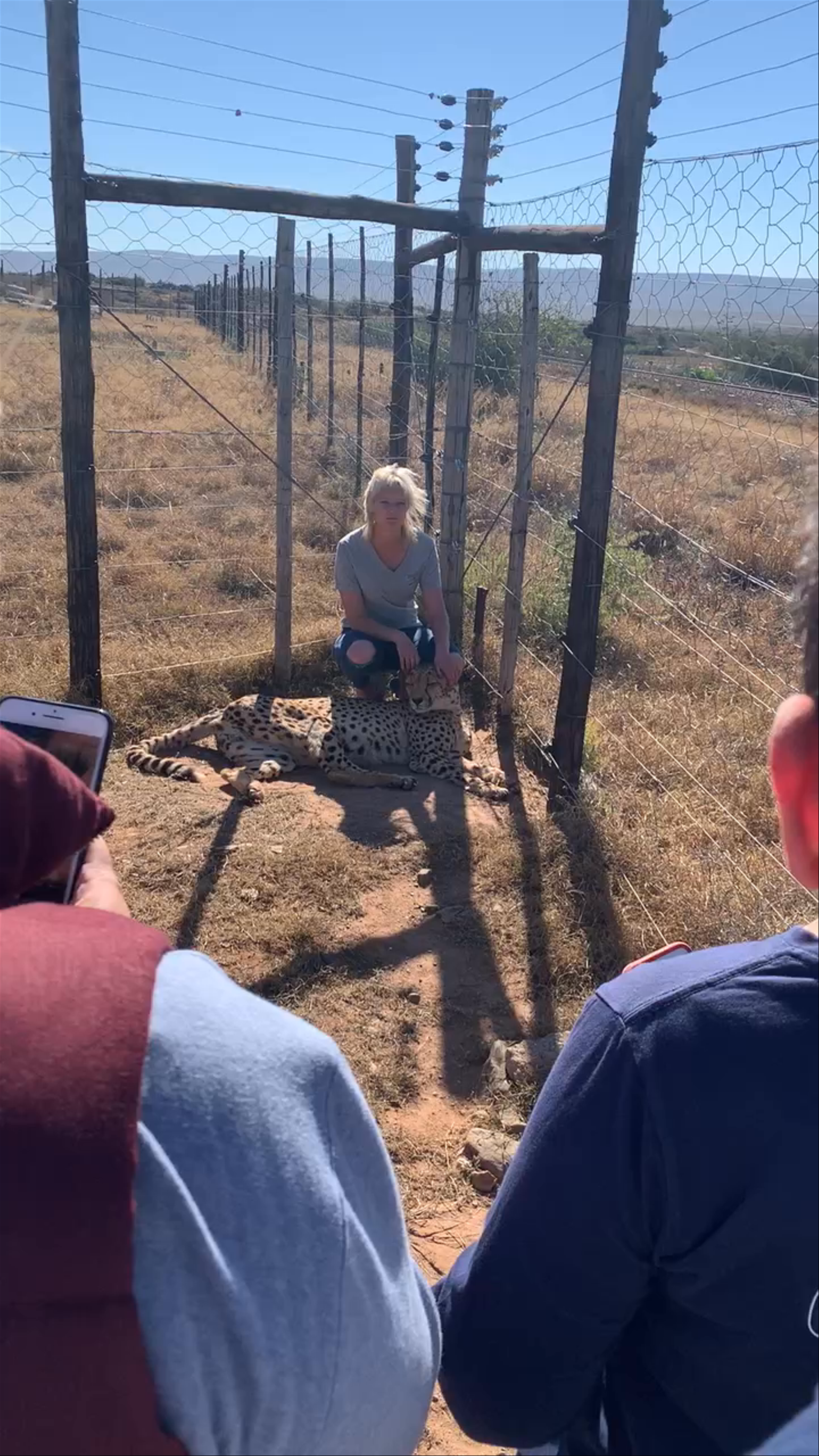 Daniell Cheetah Project