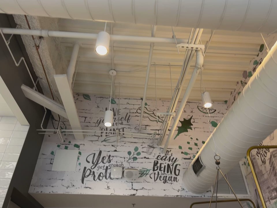 Urban Vegan - The ambiance, the food, rhetoric location 11/10! - Vegan Near Me - Newark, New Jersey