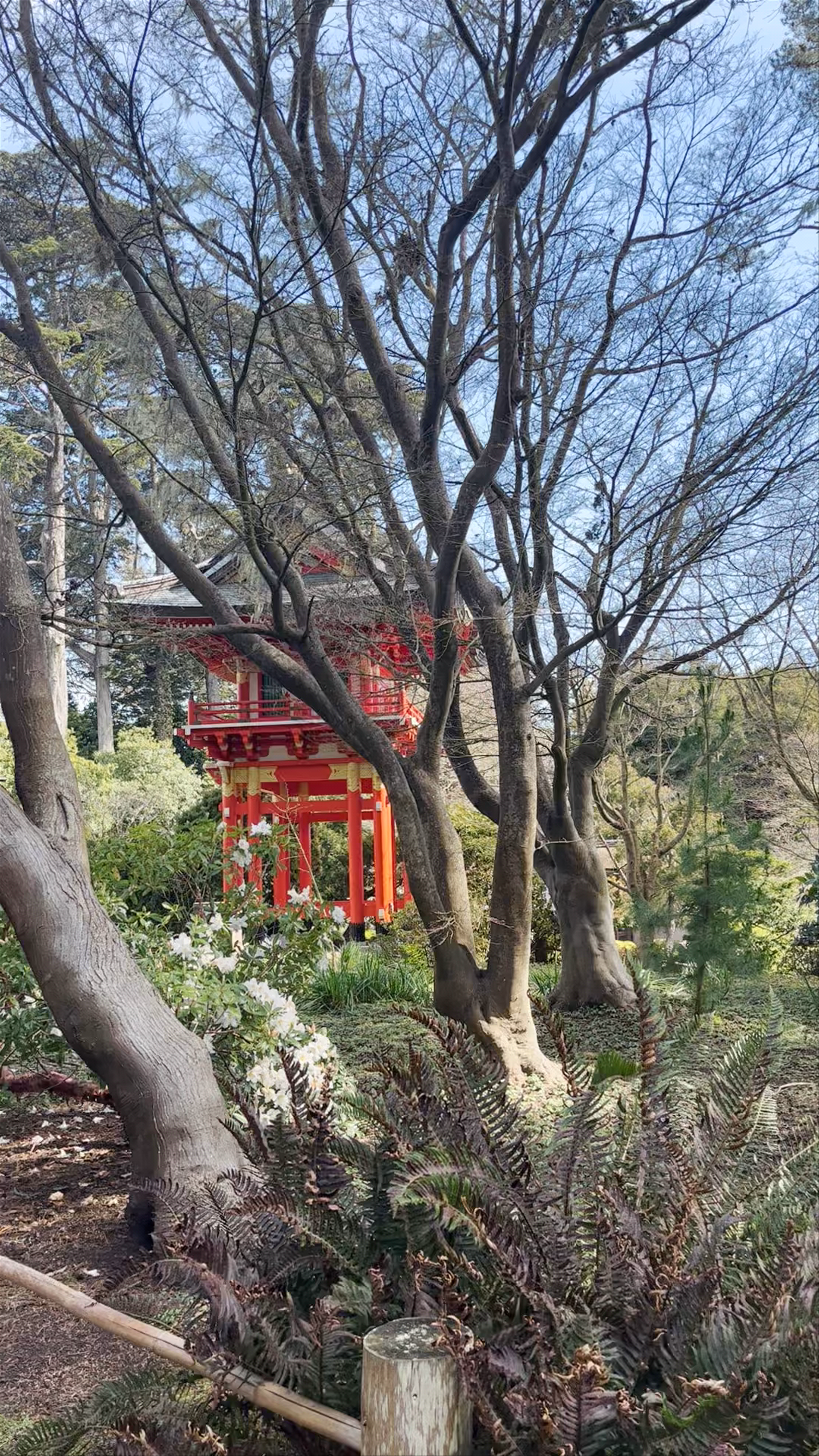 Jardín japonés Hagiwara de San Francisco