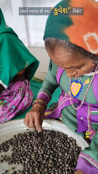 Photo of ABOUT VELVET BEAN PL